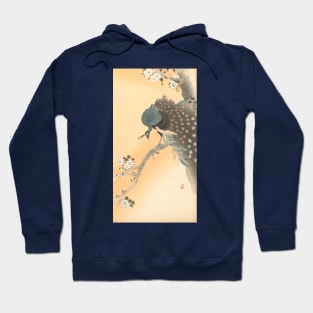 Peacock on a Blossoming Cherry Tree - Japanese Artwork Hoodie